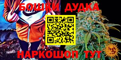 apvp Краснодар