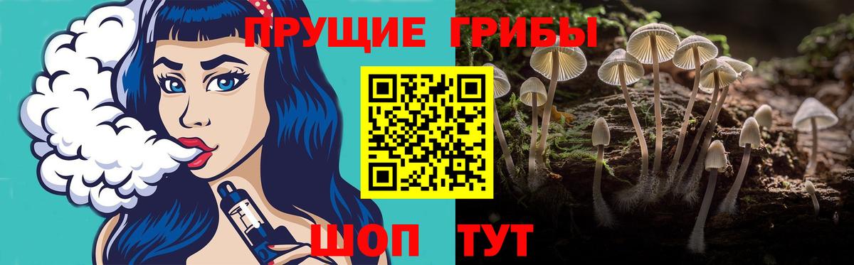 Галлюциногенные грибы мицелий Каменск-Шахтинский